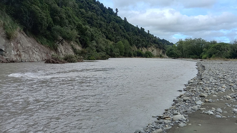 Apiti Catchment River