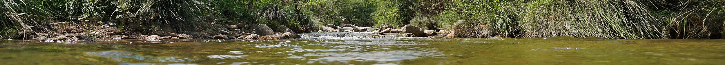 manawatu river catchments collective image