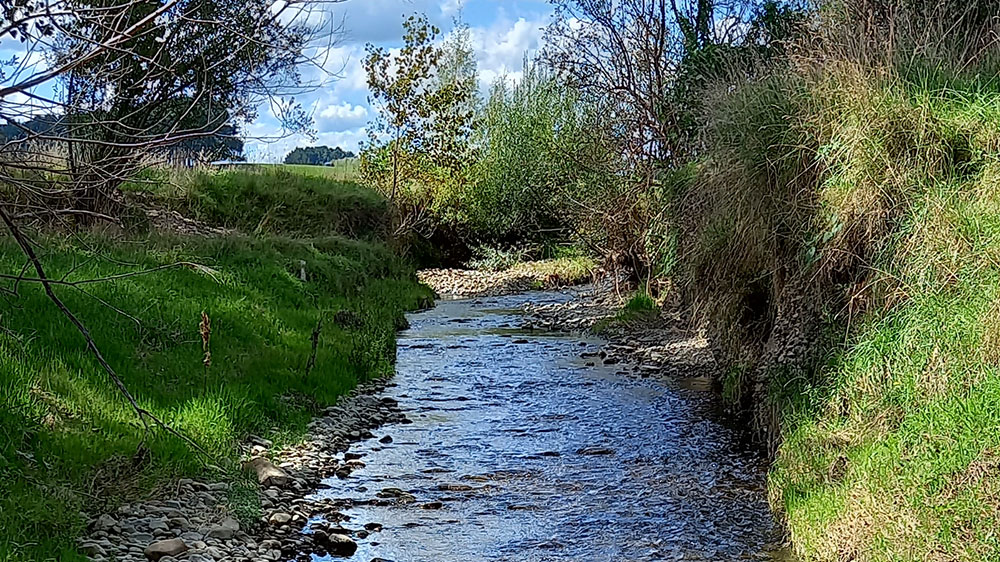 Haynes Creek Catchment River