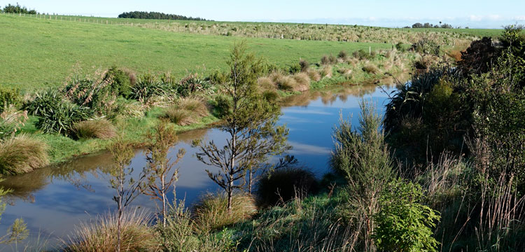 Nguturoa Linton Catchment Joint AgResearch/DairyNZ Project